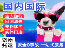 哈尔滨太平航空运输国际宠物托运 【国